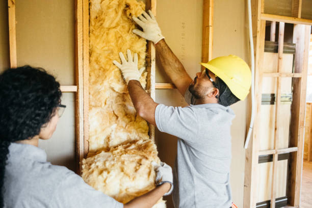 Best Soundproof Insulation  in Stanwood, WA